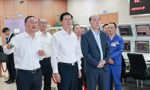 嘉興市委書記陳偉蒞臨桐昆嘉興石化調研