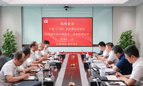 中國（廣西）自由貿易試驗區欽州港片區管理委員會副主任、黨工委委員莫福文蒞臨桐昆調研