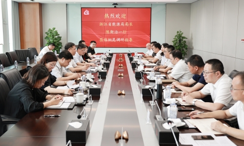 浙江省能源局局長陳衡治蒞臨桐昆調研