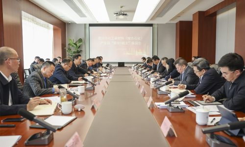 堅持“四化”發展，共話新質生產力丨桐昆集團董事長受邀參加嘉興市化工新材料（綠色石化）產業鏈“鏈長+鏈主”座談會！